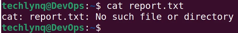 Linux No Such File or Directory error in terminal